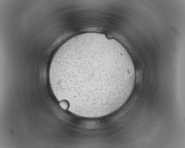 X0000113870349200910221339