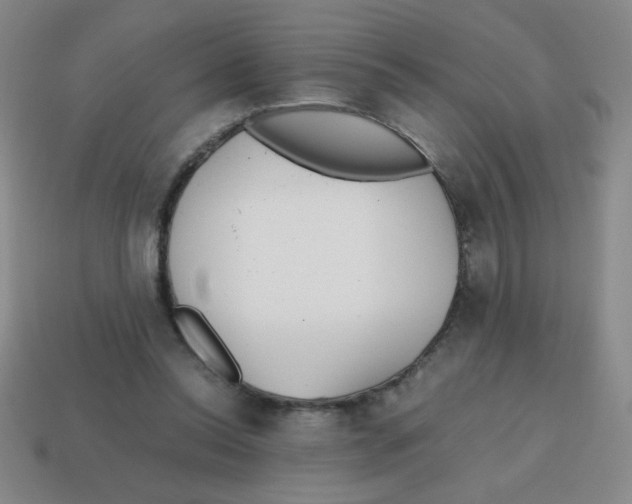 X0000113870350200910221339