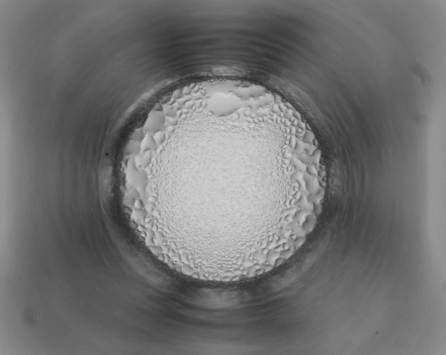 X0000113870351200910221339