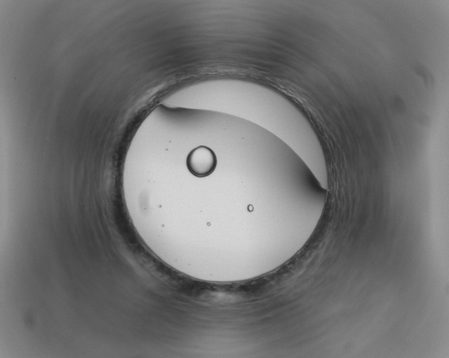X0000113870352200910221339