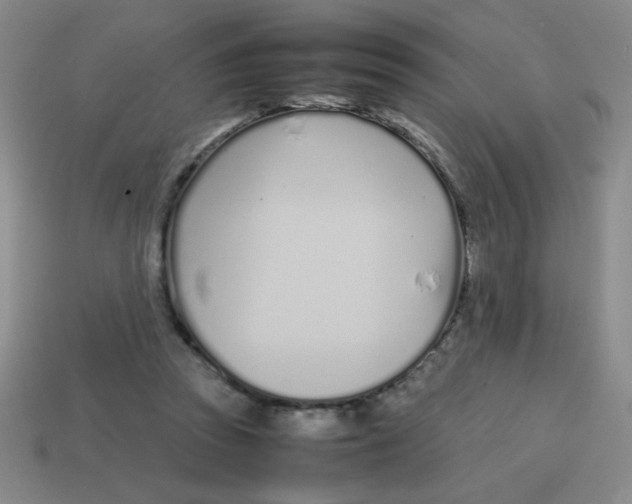 X0000113870353200910221339