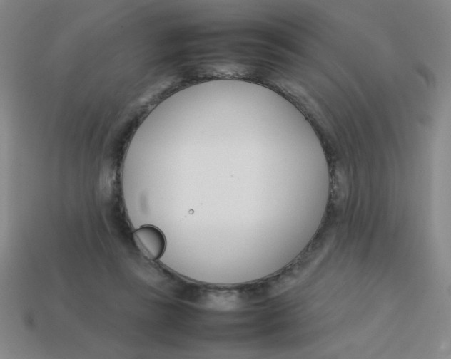 X0000113870355200910221339