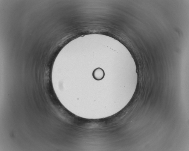 X0000113870356200910221340