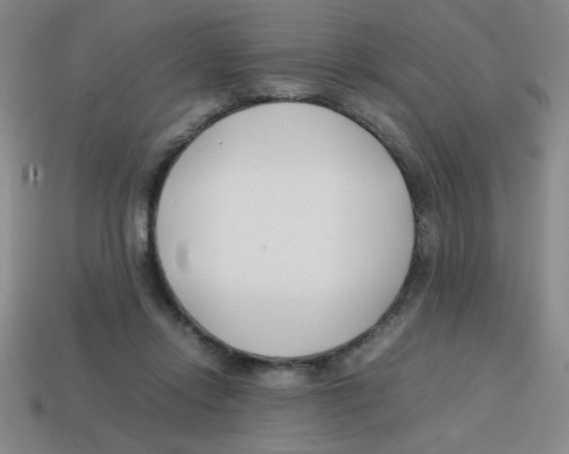X0000113870358200910221340