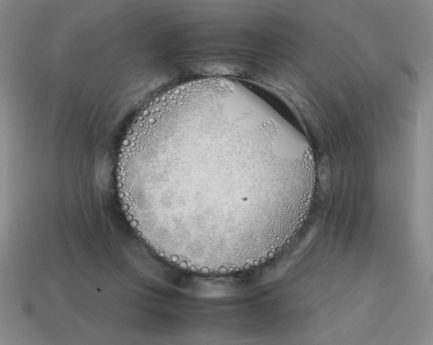 X0000113870359200910221340