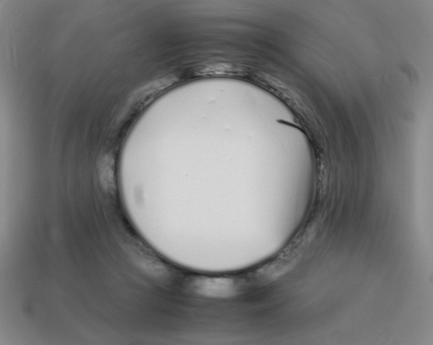 X0000113870361200910221340