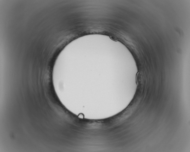 X0000113870362200910221340