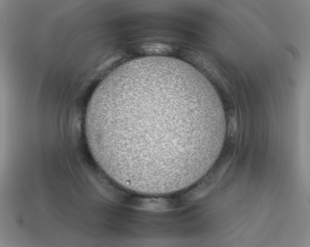 X0000113870363200910221340