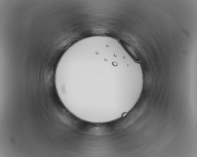 X0000113870364200910221340