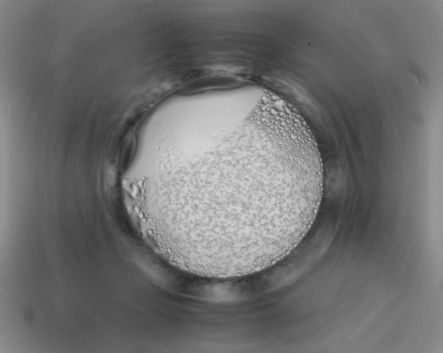X0000113870365200910221340