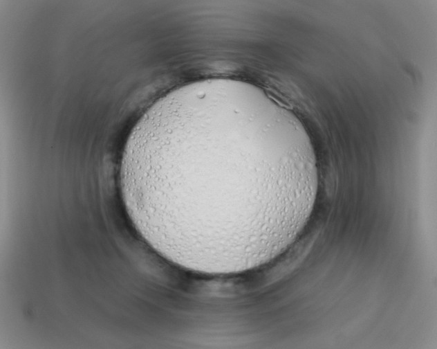 X0000113870366200910221340