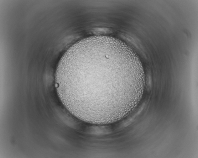 X0000113870367200910221340