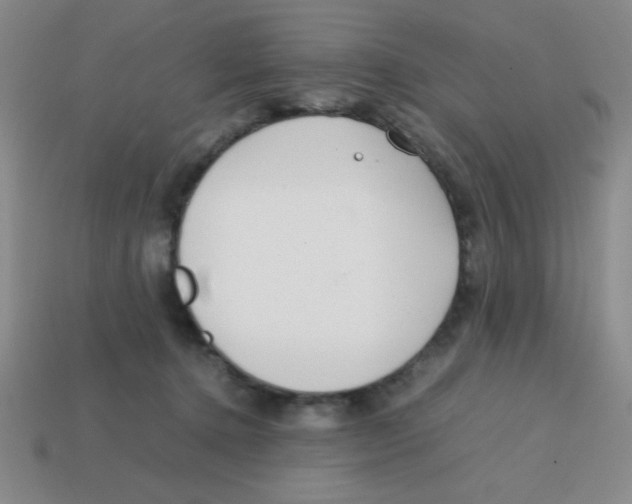 X0000113870368200910221340