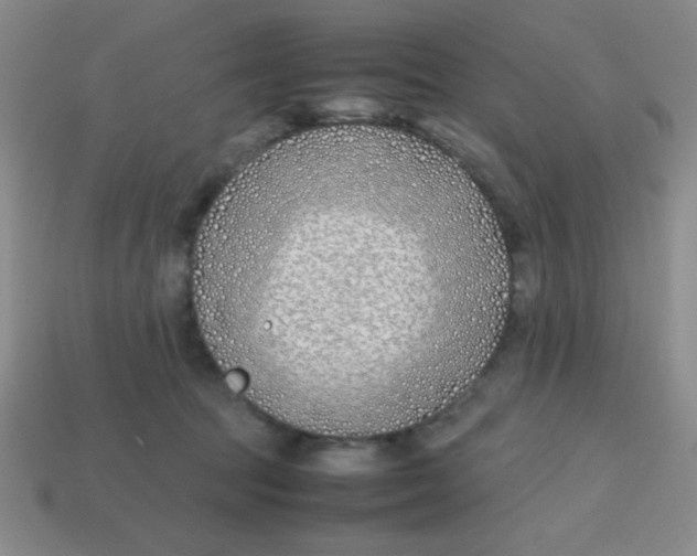X0000113870369200910221340
