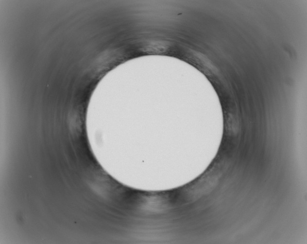 X0000113870370200910221340
