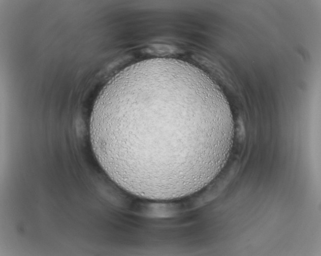 X0000113870371200910221340