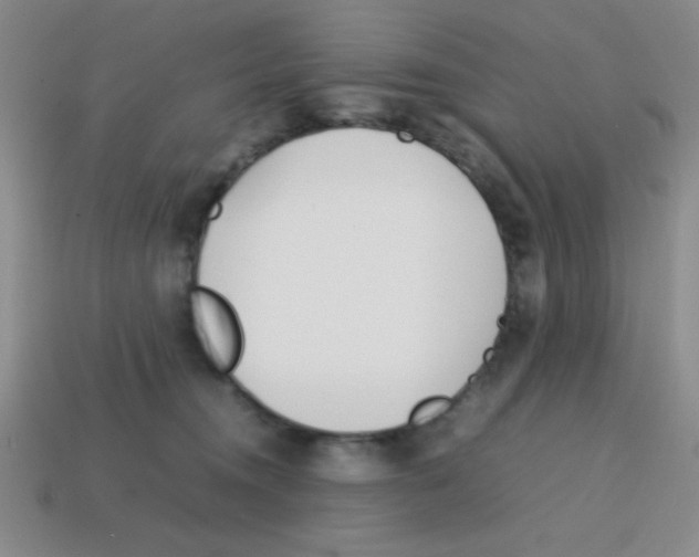 X0000113870372200910221340