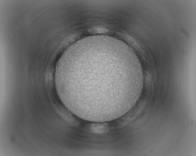 X0000113870373200910221340