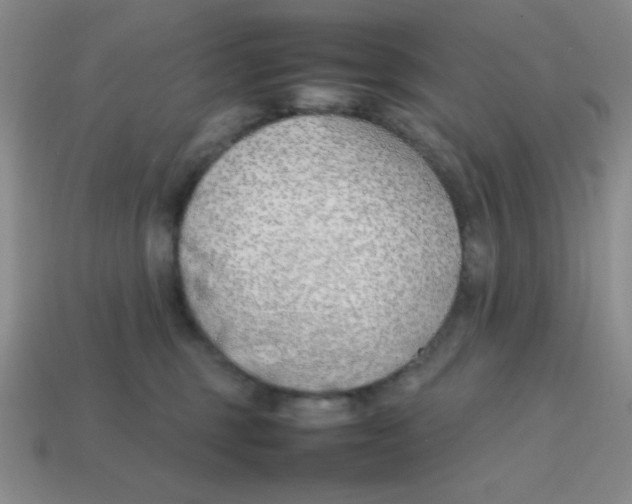 X0000113870375200910221340