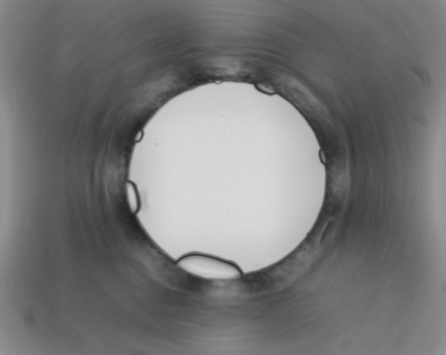 X0000113870376200910221340