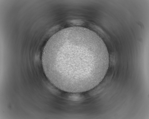 X0000113870377200910221340