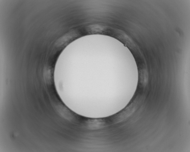 X0000113870378200910221340