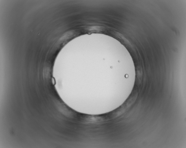 X0000113870379200910221340