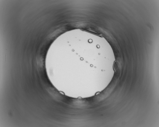 X0000113870380200910221340