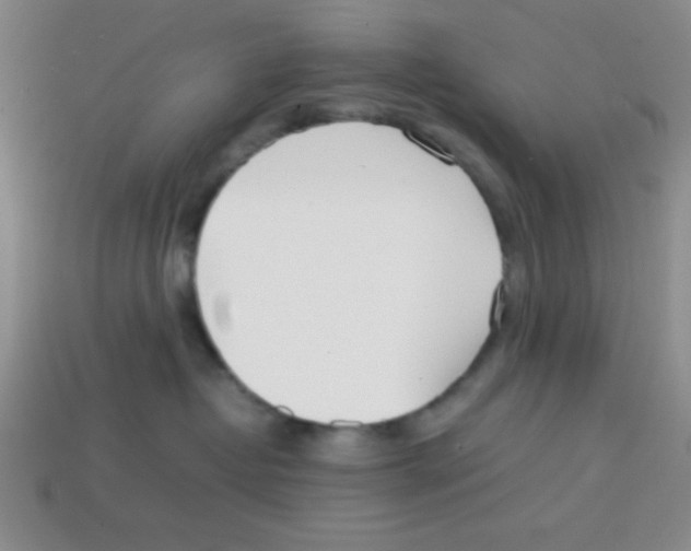 X0000113870382200910221340