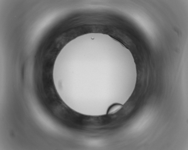 X0000113870383200910221340