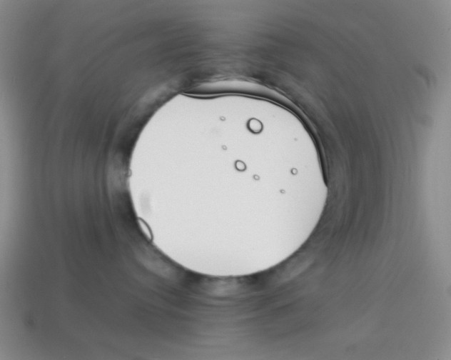 X0000113870384200910221340