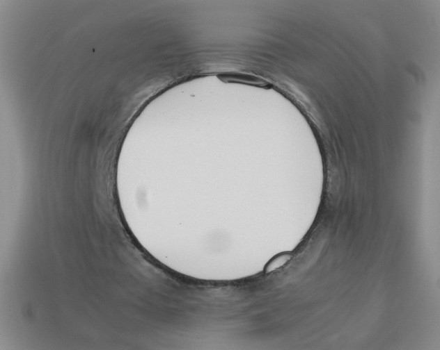 X0000113870385200910221339