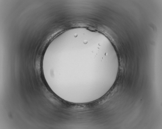 X0000113870386200910221339