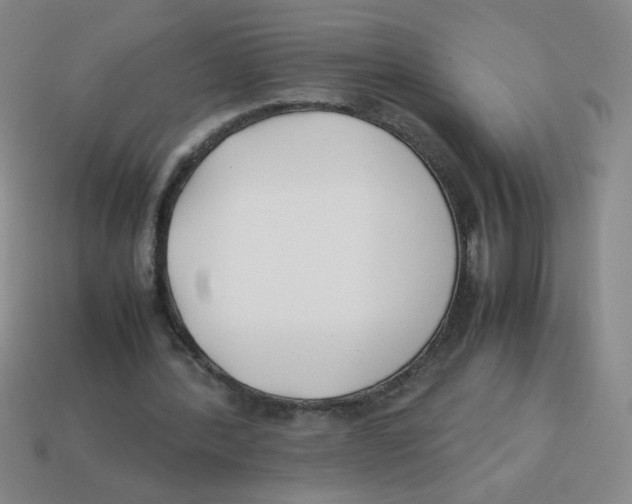 X0000113870388200910221339