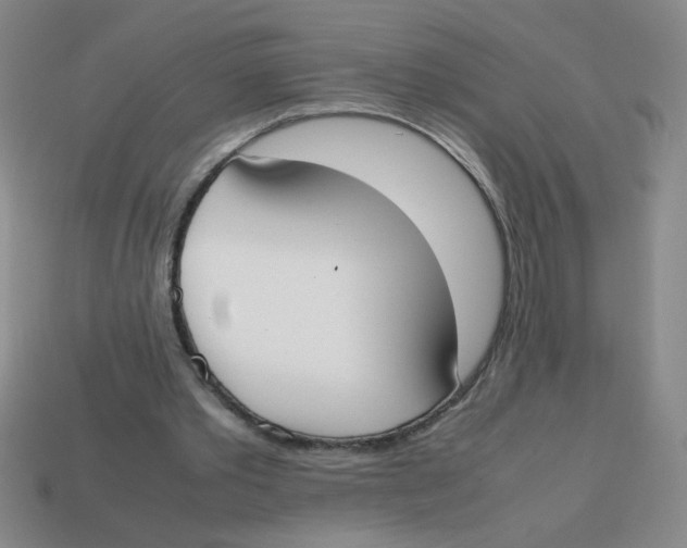 X0000113870389200910221339