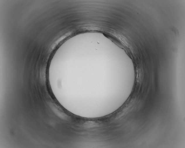 X0000113870390200910221339