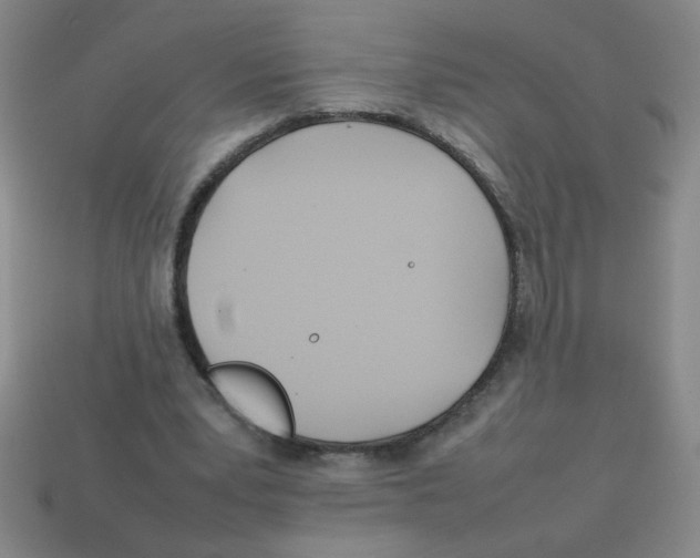 X0000113870391200910221339