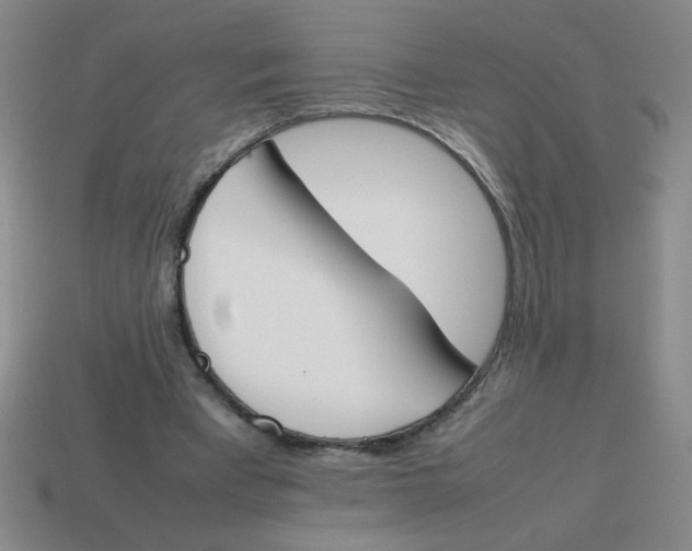 X0000113870393200910221339