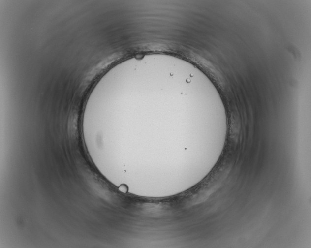 X0000113870394200910221339