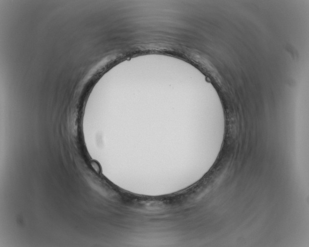 X0000113870395200910221339