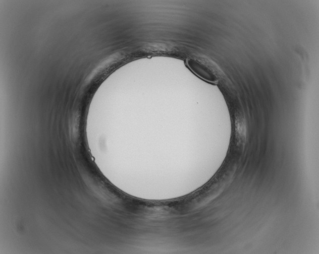 X0000113870396200910221339