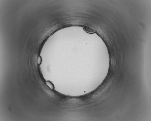 X0000113870397200910221339