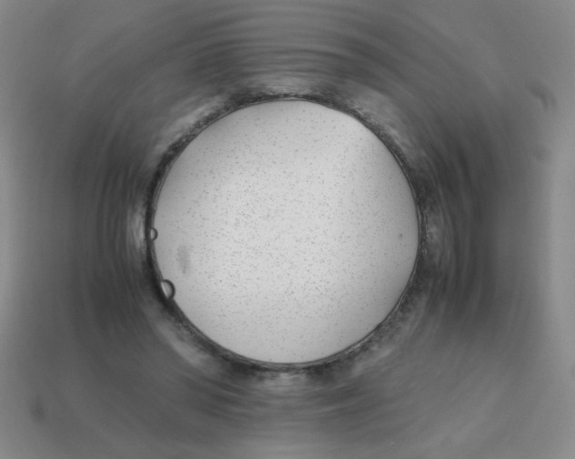X0000113870398200910221339