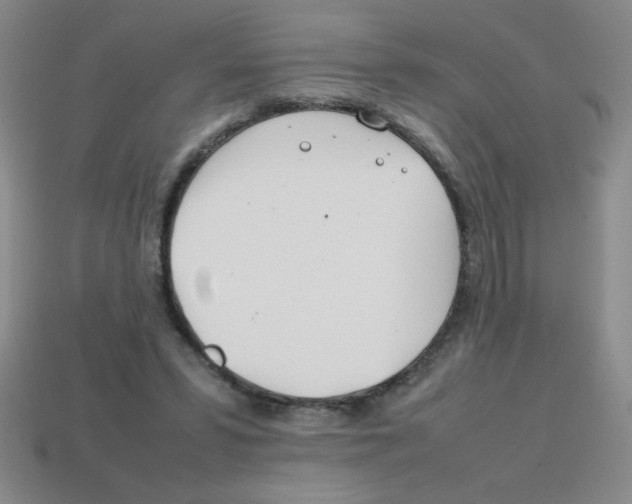 X0000113870399200910221339
