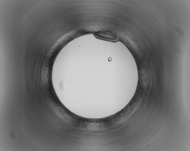 X0000113870400200910221339