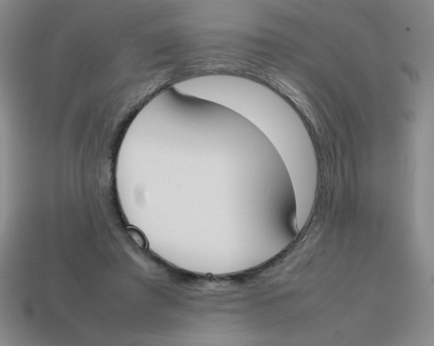 X0000113870401200910221339