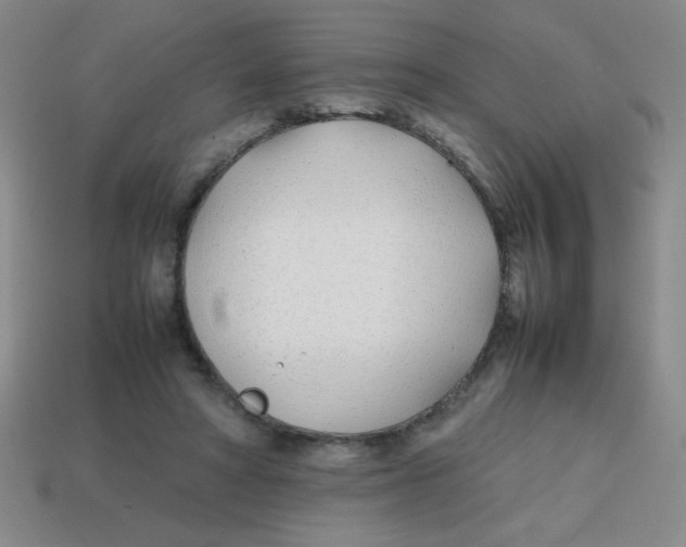 X0000113870402200910221339