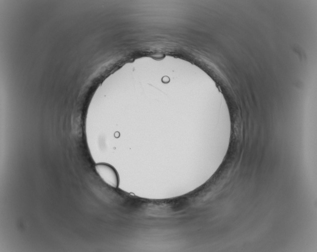 X0000113870403200910221339