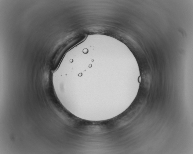 X0000113870404200910221339