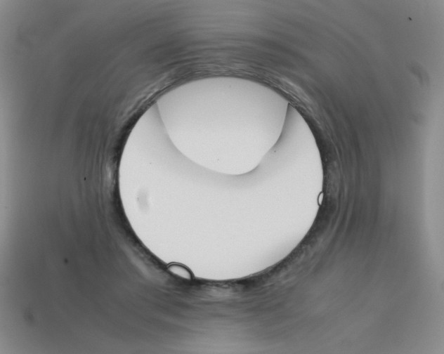 X0000113870405200910221339